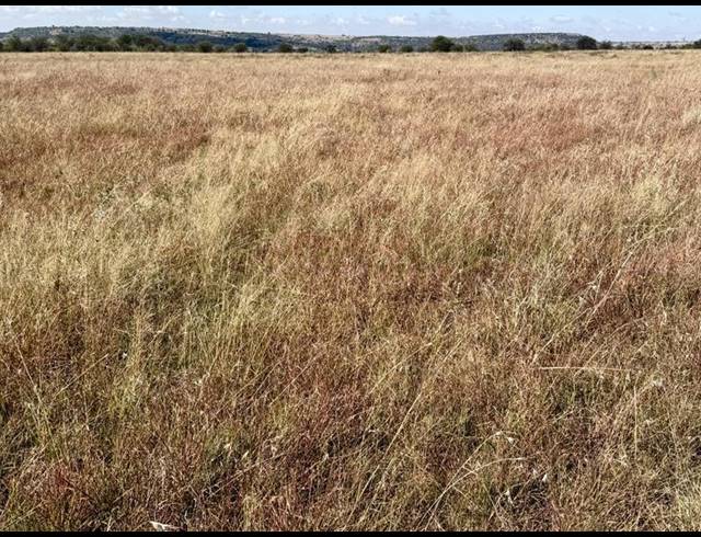 FARM FOR SALE IN HEILBRON